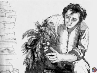 La Mimosa  (The Mimosa ) - cm. 50x70 - Incisione (Etching)